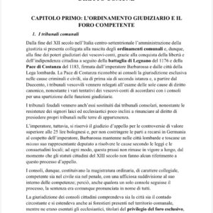 Diritto Comune (53 pagine)